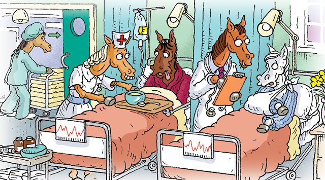 horses in horsepital
